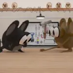 funny animal video