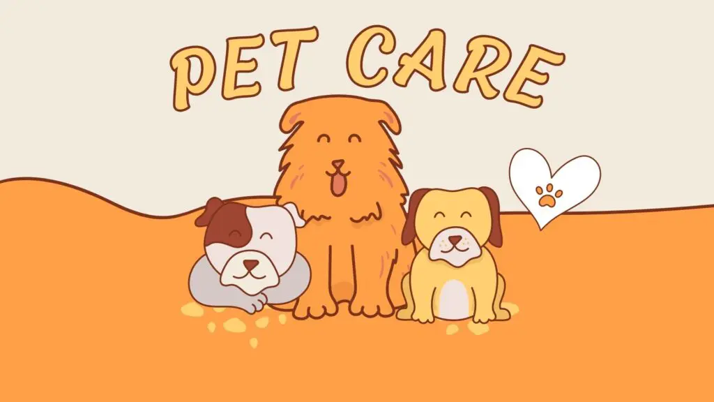 pet care